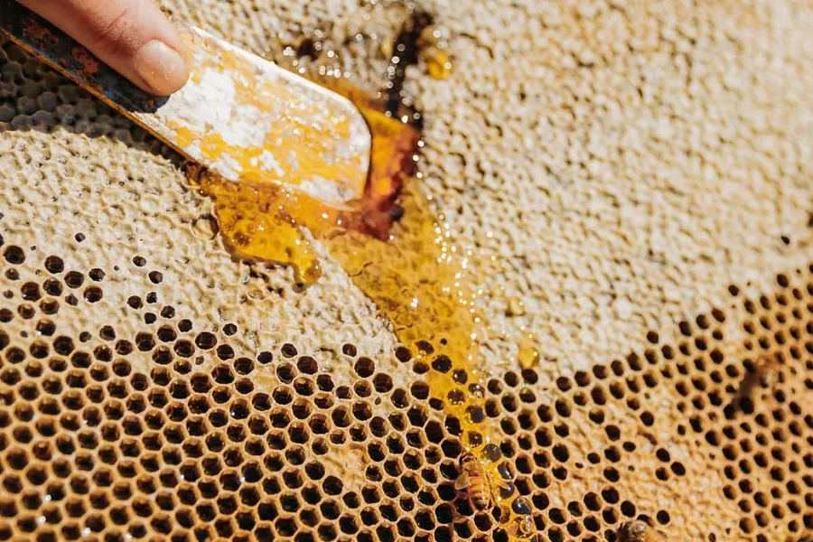 Waitahanui Apiaries Raw Honey