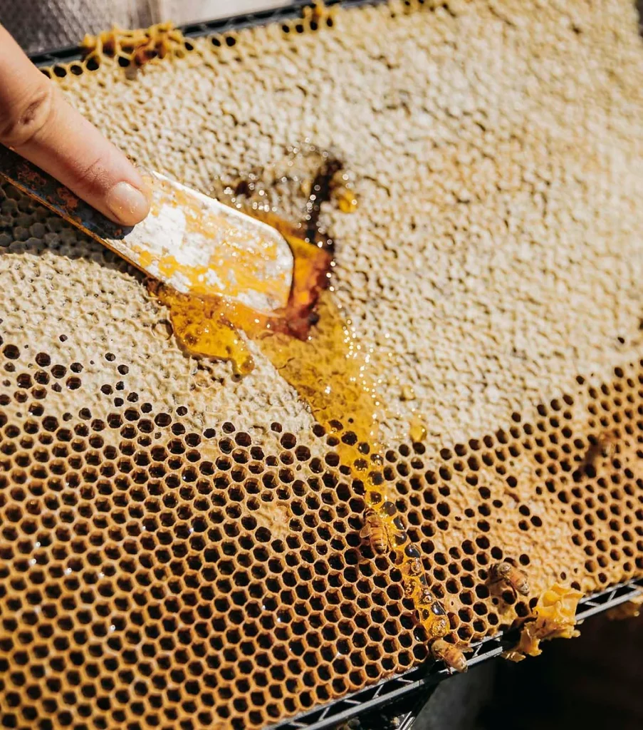 Waitahanui Apiaries Raw Honey