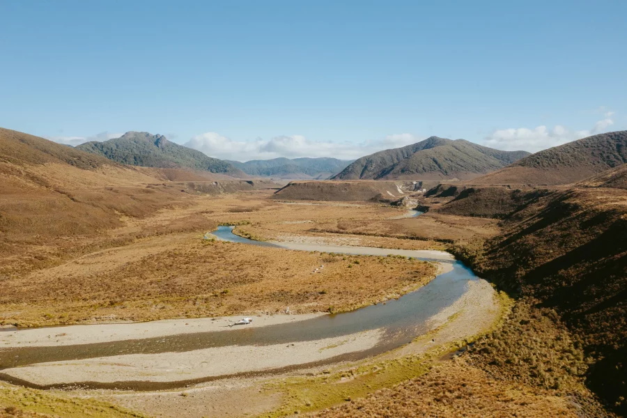 Waitahanui Apiaries Raw Honey