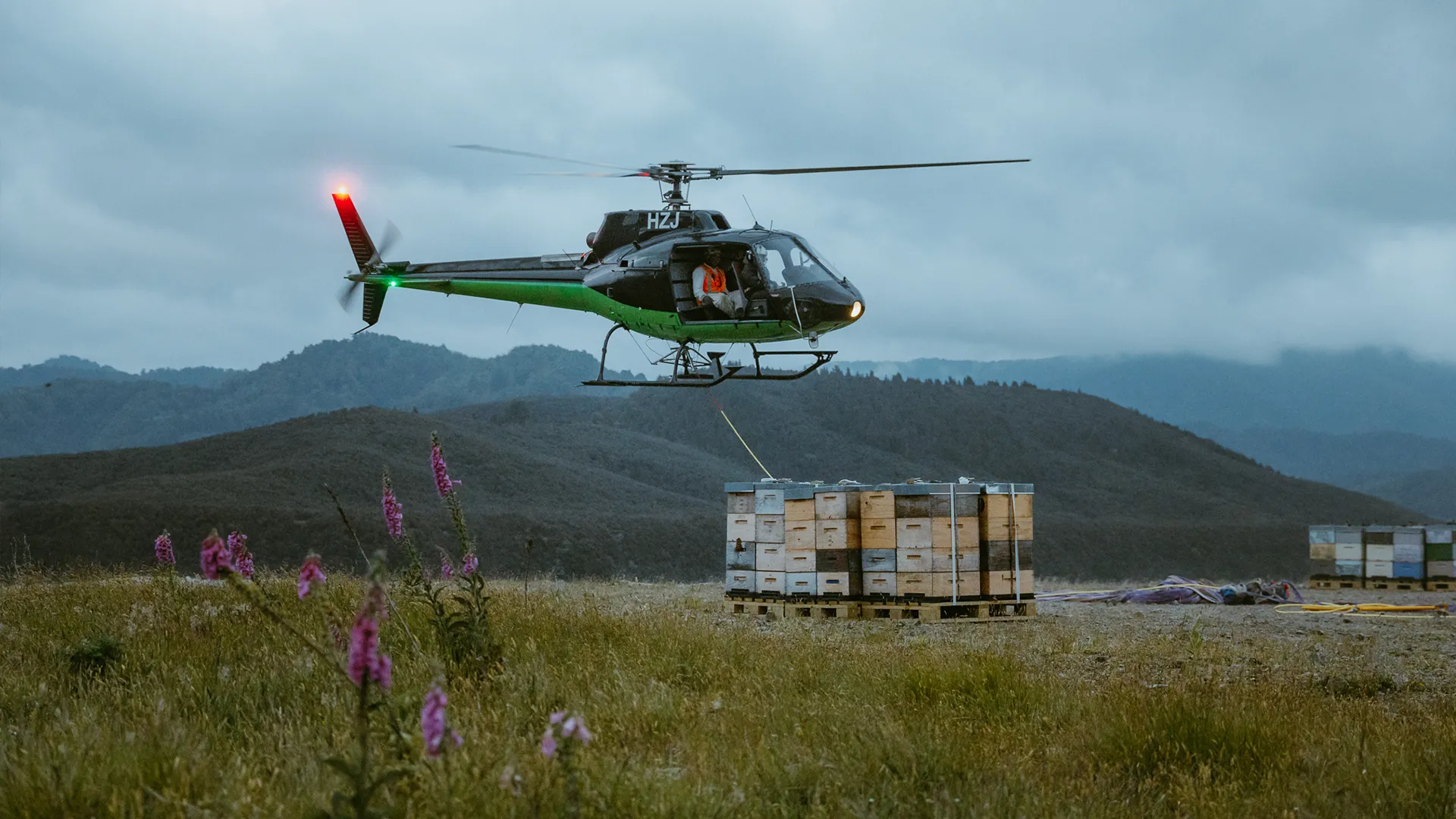Waitahanui Apiaries Raw Honey