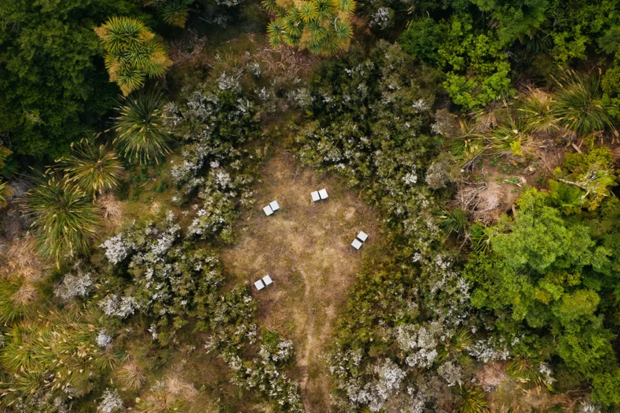 New Zealand Raw Organic Honey - blog1