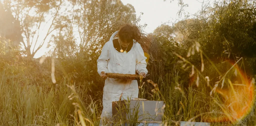 Waitahanui Apiaries Raw Honey